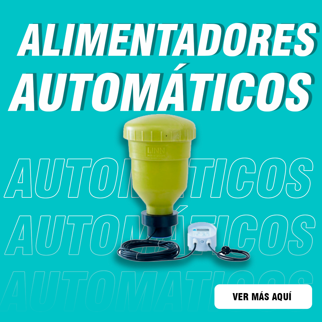 Alimentadores automáticos