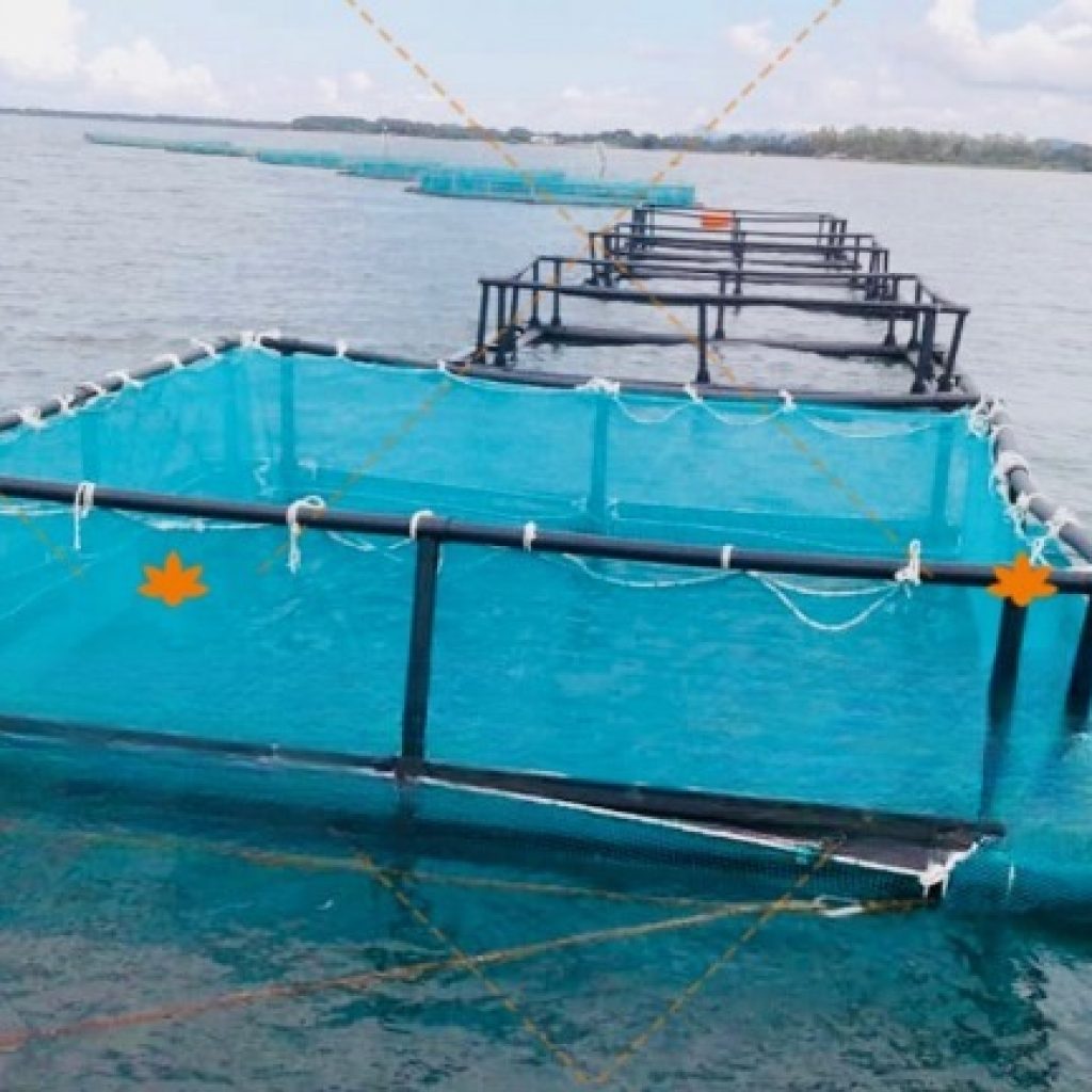 HDPE-Floating-Square-Aquaculture-Cage-Fishing-Net-Cage_cleanup
